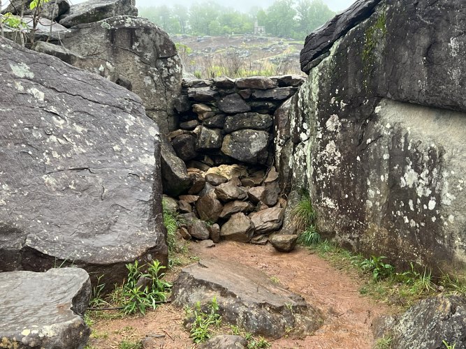 IMG_5132.jpeg IMG_5132.jpeg