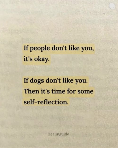 Screenshot 2025-05-27 at 10.24.23 PM.jpeg