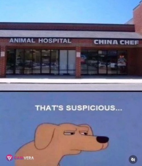 Gr_L8TgW8AAYdRR.jpeg