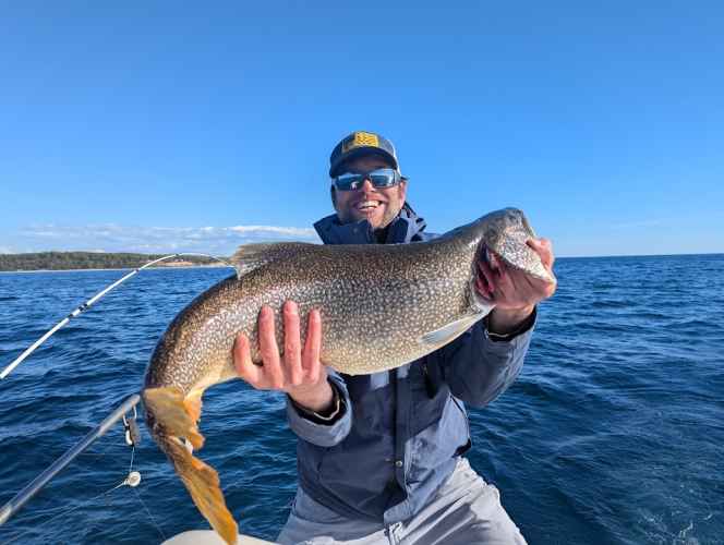 1748614150378.png 1748614150378.png