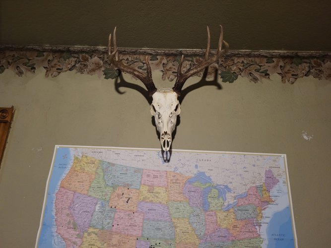 20250530_115333.jpg 20250530_115333.jpg