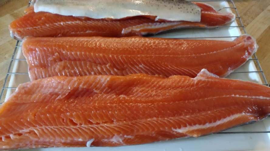 1748662999169.jpeg 1748662999169.jpeg