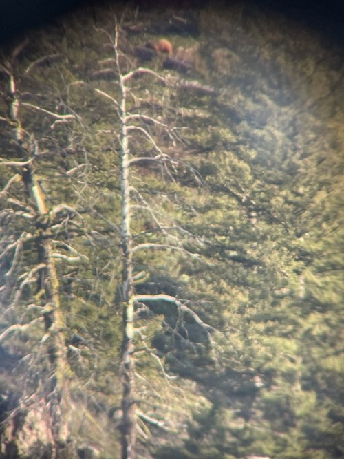 IMG_7930.jpeg IMG_7930.jpeg
