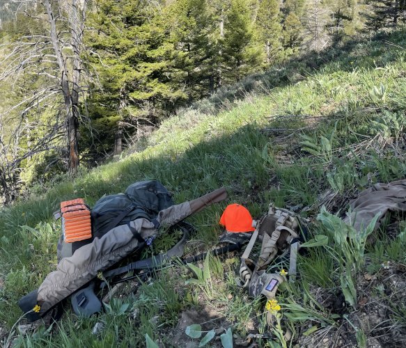 IMG_7941.jpeg IMG_7941.jpeg