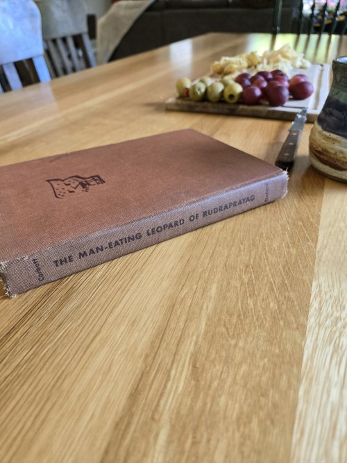 1000005567.jpg 1000005567.jpg