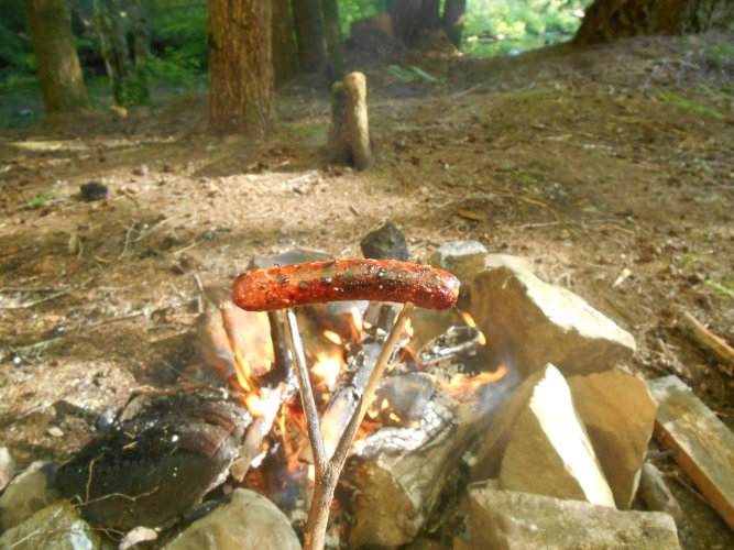 HOT DOG.JPG