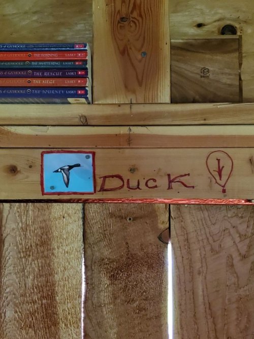 DUCK!.jpg