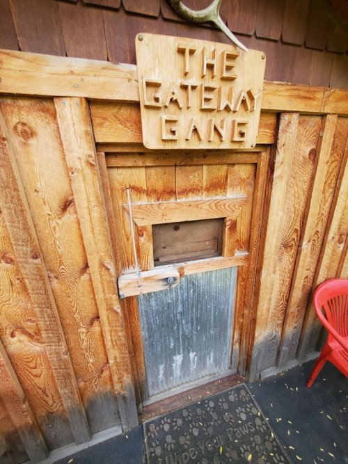 Tree house door.jpg
