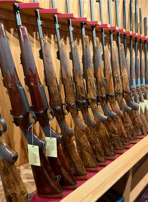 IMG_9456.jpeg IMG_9456.jpeg