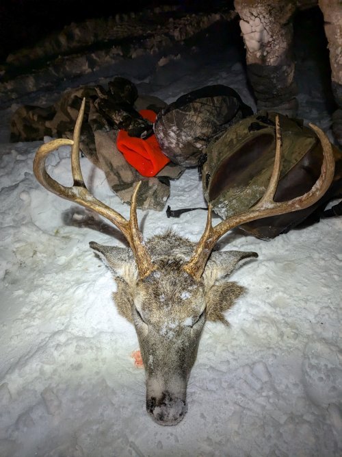 8707953047508793646.jpeg 8707953047508793646.jpeg