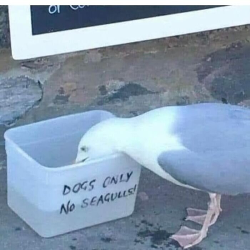 1748876157044.png