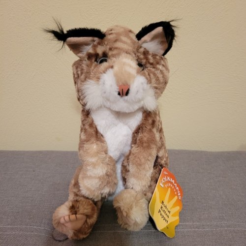 1748903969676.jpeg 1748903969676.jpeg