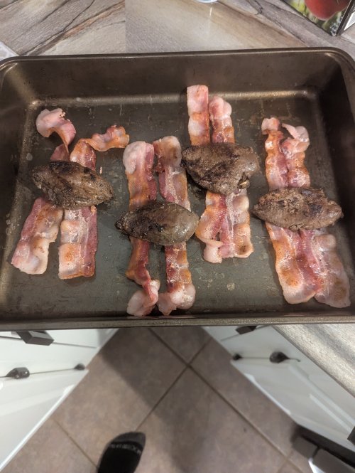 PXL_20250602_232243458.jpg PXL_20250602_232243458.jpg