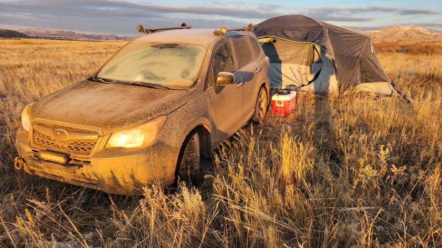 20231014_072625.jpg 20231014_072625.jpg