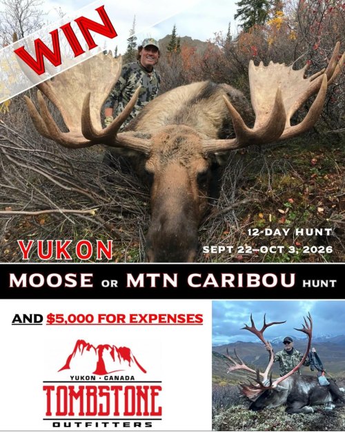 IMG_1613.jpeg IMG_1613.jpeg