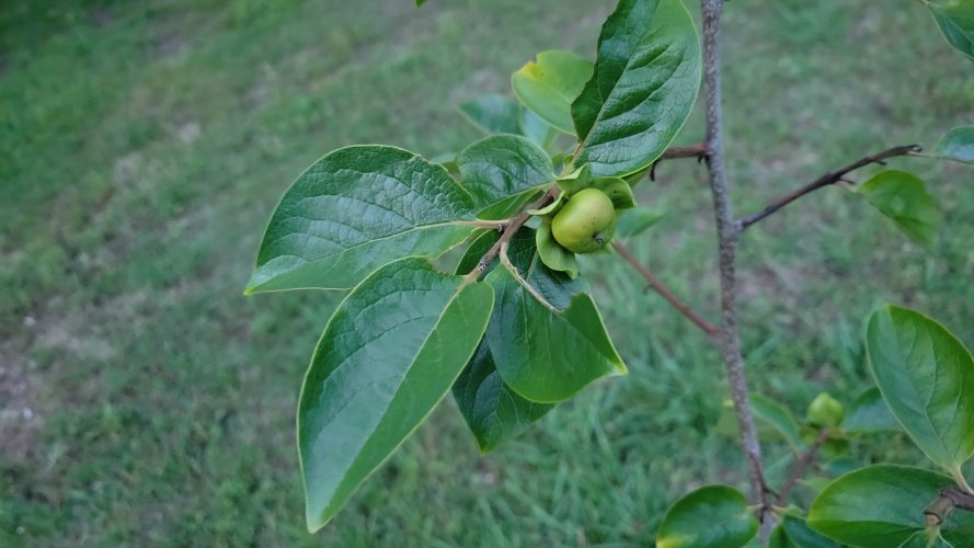 20250607_204353.jpg
