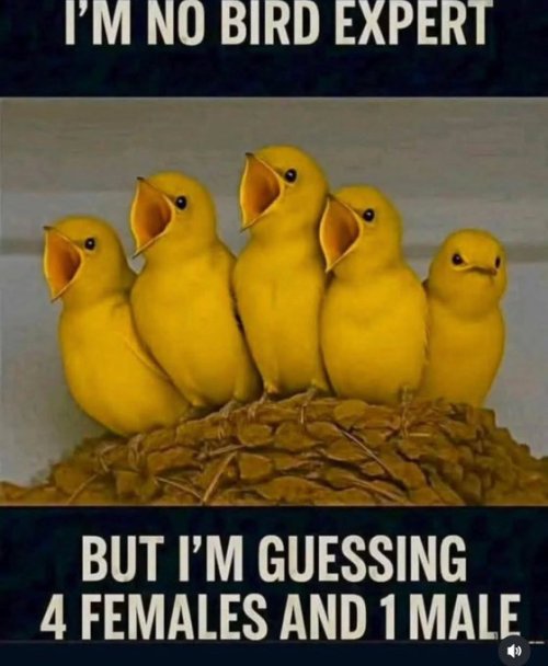 GseMDJRXAAAlsSD.jpeg