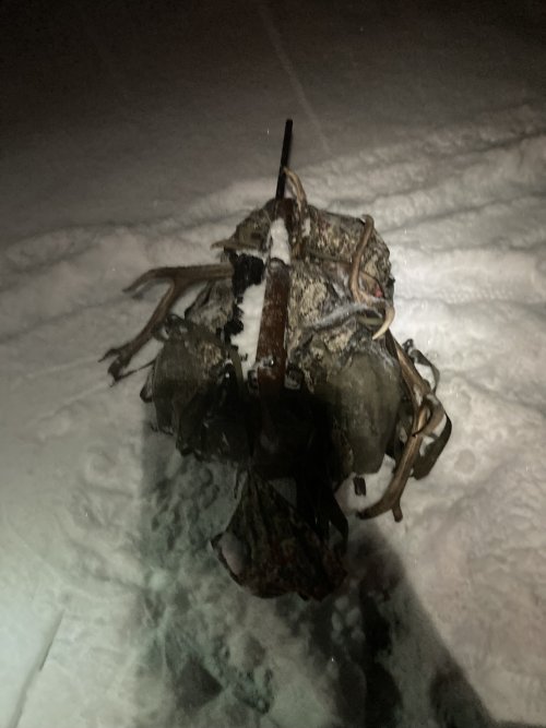 IMG_4008.jpeg IMG_4008.jpeg