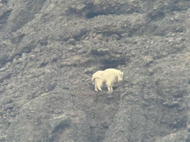 IMG_9437.jpeg IMG_9437.jpeg