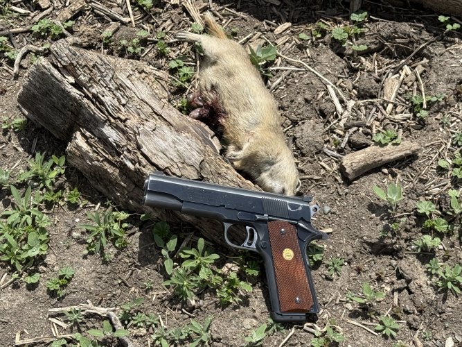 IMG_9465.jpeg IMG_9465.jpeg