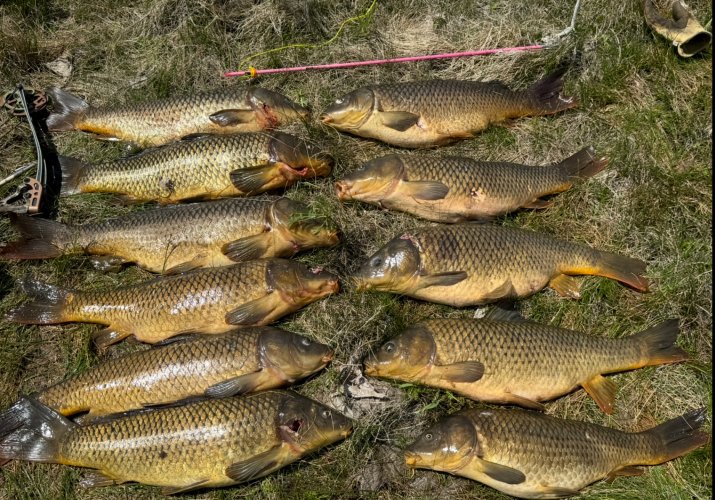 IMG_9534.jpeg IMG_9534.jpeg