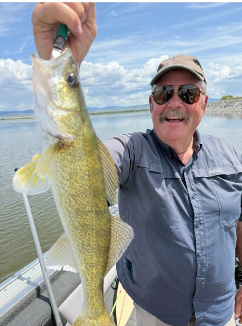 IMG_9535.jpeg IMG_9535.jpeg