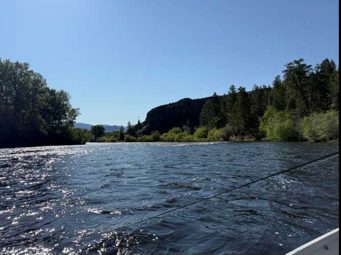 IMG_9533.jpeg IMG_9533.jpeg