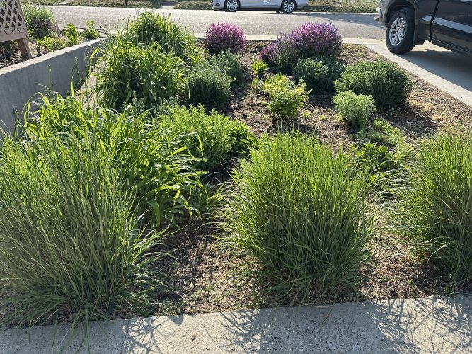 IMG_5484.jpeg IMG_5484.jpeg