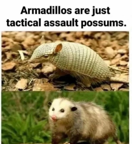 Gs54bsdbwAAbVFe.jpeg