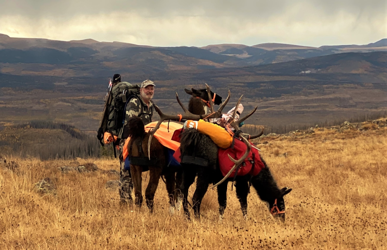 IMG_0583.png IMG_0583.png