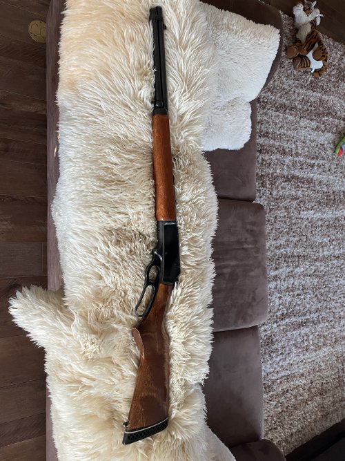 IMG_6755.jpeg IMG_6755.jpeg