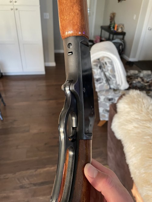 IMG_6756.jpeg IMG_6756.jpeg