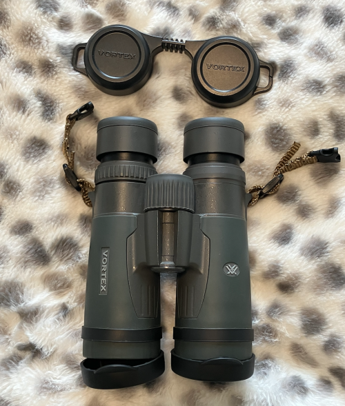 Screen Shot 2025-06-06 at 5.30.31 PM.png