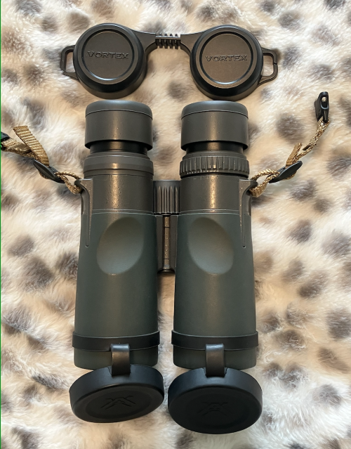 Screen Shot 2025-06-06 at 5.30.41 PM.png