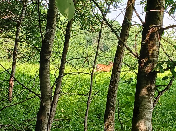 20250608_101955.jpg 20250608_101955.jpg