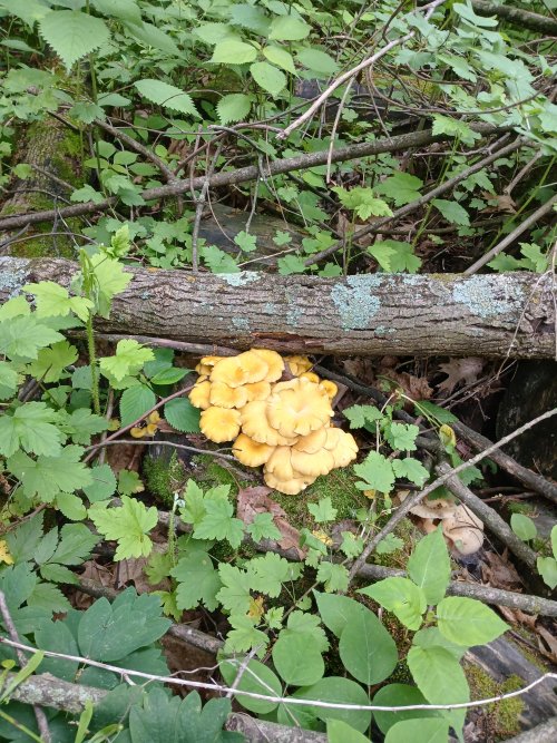 20250608_083013.jpg 20250608_083013.jpg