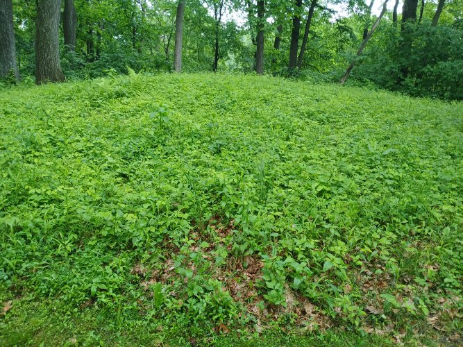 20250608_095026.jpg 20250608_095026.jpg