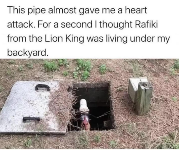 1749574606554.png