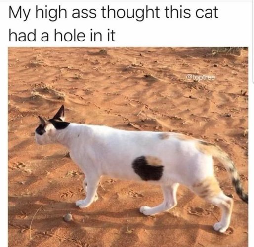 Gs5_fgWbEAAICYh.jpeg