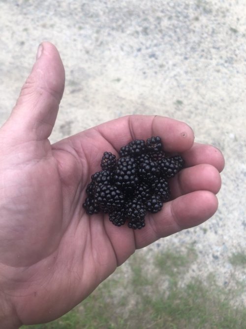 IMG_8785.jpeg IMG_8785.jpeg