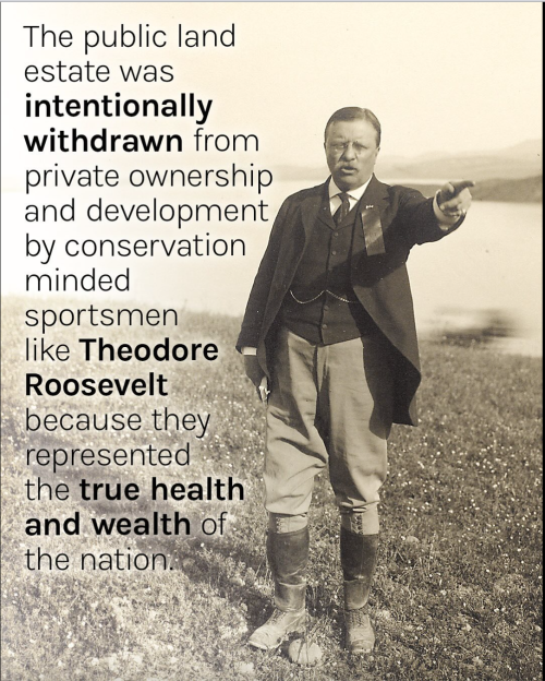 Screen Shot 2025-06-13 at 8.32.20 PM.png