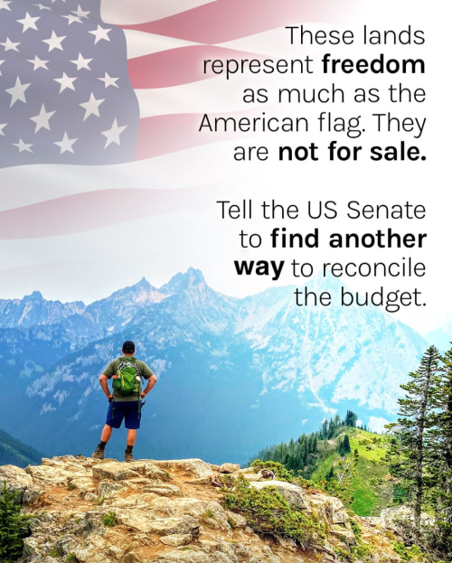 Screen Shot 2025-06-13 at 8.32.33 PM.png