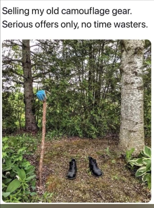 1749919970061.png