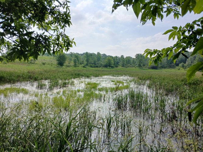 20250614_091748.jpg 20250614_091748.jpg