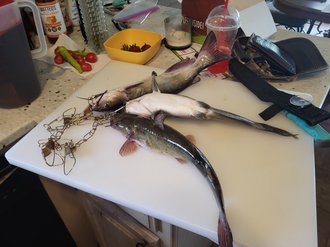 20250612_141949.jpg 20250612_141949.jpg