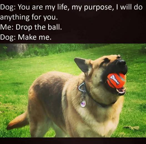 1750095713881.png