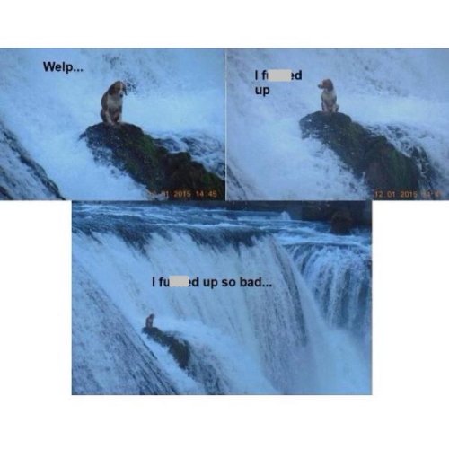 IMG_3191.jpeg IMG_3191.jpeg