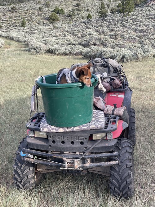 IMG_3370.jpeg IMG_3370.jpeg