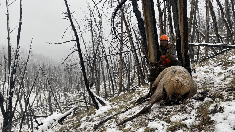 IMG_3818.jpeg IMG_3818.jpeg