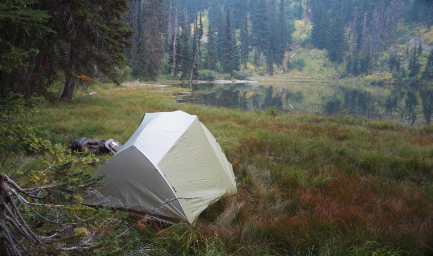 P9174294_crop.JPG P9174294_crop.JPG